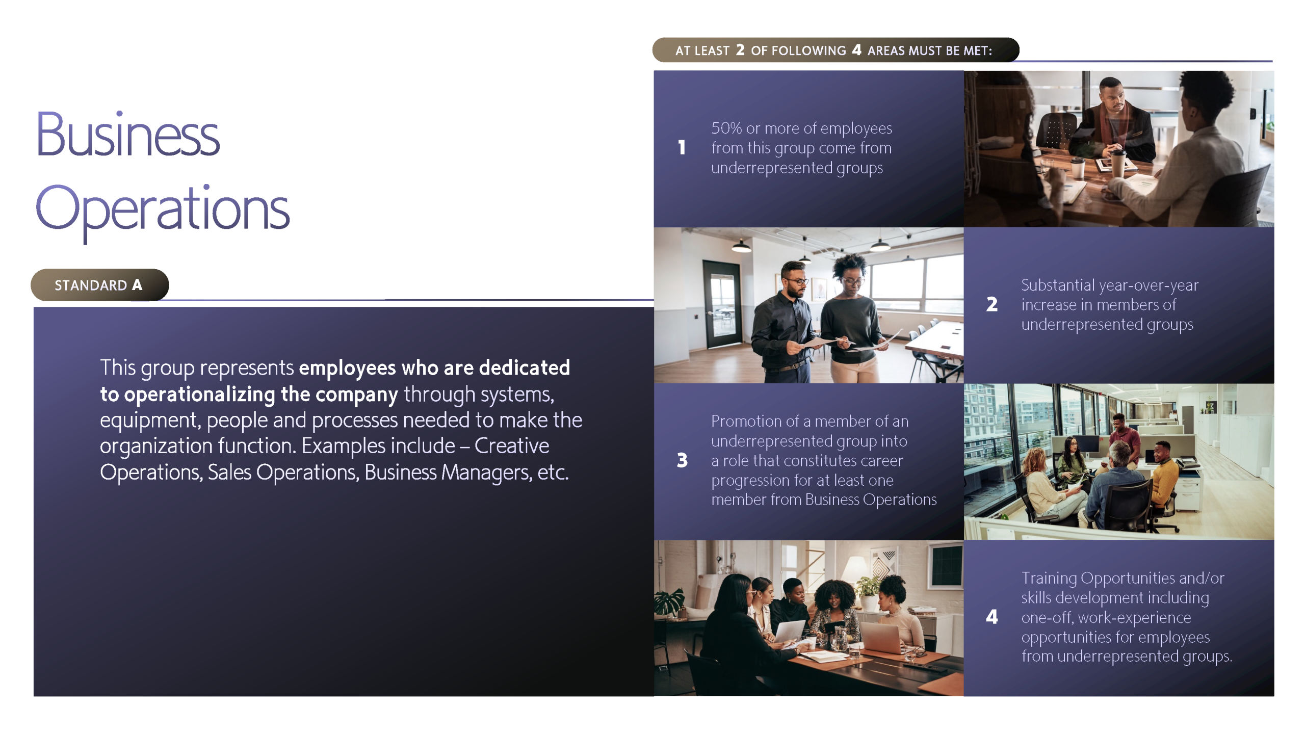 DAS Inclusion Standards External 7.18 1 Page 3